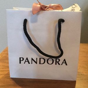 Pandora Bag With Tissue and Ribbon